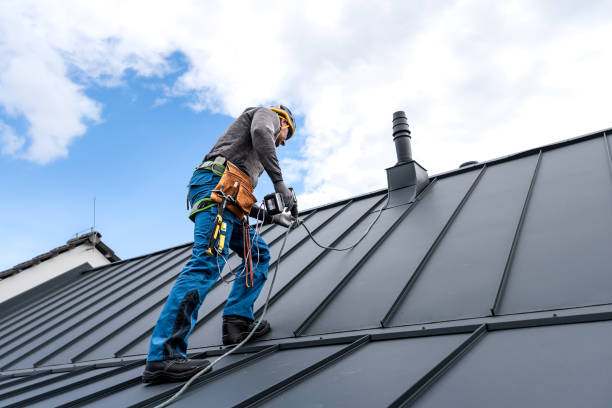 Best Roof Maintenance and Cleaning  in Ranchester, WY